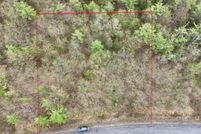 Land for sale in Presque Isle County, Michigan