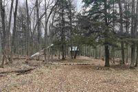 Undeveloped Land in Forest County, Wisconsin