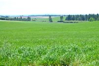 Farm and Ranch for sale in Clearwater County, Idaho