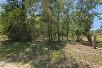 Land for sale in Levy County, Florida