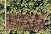 Undeveloped Land for sale in Lake County, Florida