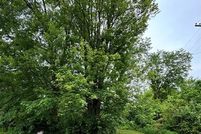 Undeveloped Land for sale in Wayne County, Michigan