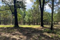 Undeveloped Land for sale in Shelby County, Texas