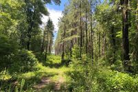 Land for sale in Shelby County, Texas