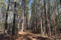 Farm and Ranch for sale in Williamsburg County, South Carolina