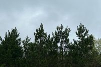 Undeveloped Land for sale in Oneida County, Wisconsin