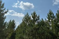 Undeveloped Land for sale in Oneida County, Wisconsin