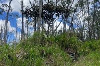 Land for sale in Hawaii County, Hawaii