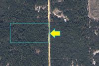 Undeveloped Land in Clay County, Florida