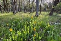 Land for sale in Jackson County, Oregon