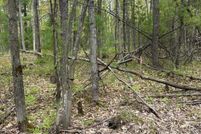 Land for sale in Grand Traverse County, Michigan