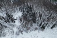 Farm and Ranch for sale in Fairbanks North Star Borough, Alaska