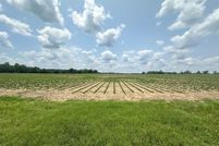 Land for sale in Geneva County, Alabama