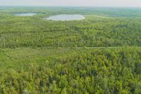 Land for sale in Presque Isle County, Michigan