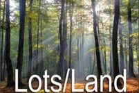 Land for sale in Charlotte County, Virginia