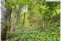 Land for sale in Ashe County, North Carolina