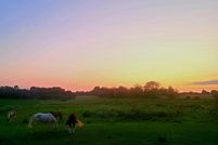 Farm and Ranch for sale in Langlade County, Wisconsin