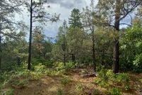 Land for sale in Rio Arriba County, New Mexico