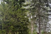 Land for sale in Saginaw County, Michigan