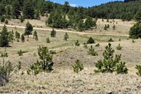 Land for sale in Park County, Colorado