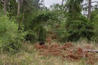 Land for sale in Okaloosa County, Florida