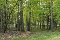 Land for sale in Emmet County, Michigan