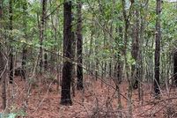 Land for sale in Madison County, Missouri