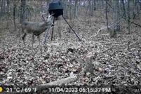 Homesite for sale in Carter County, Missouri