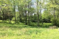 Undeveloped Land for sale in Pope County, Arkansas