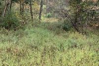 Land for sale in Madison County, Missouri