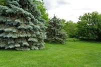 Land for sale in Jo Daviess County, Illinois