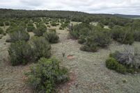 Timberland Property for sale in Torrance County, New Mexico