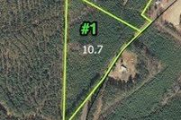 Land for sale in Montgomery County, North Carolina