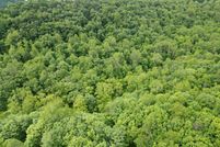 Timberland Property for sale in Roane County, West Virginia