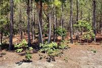 Farm and Ranch for sale in Scotland County, North Carolina