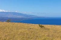 Farm and Ranch for sale in Hawaii County, Hawaii