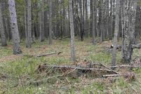 Land for sale in Iron County, Michigan