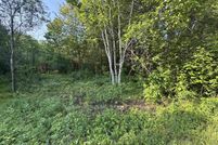 Undeveloped Land for sale in Gogebic County, Michigan