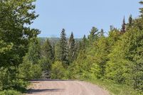 Timberland Property for sale in Keweenaw County, Michigan