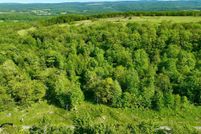 Timberland Property for sale in Garrett County, Maryland