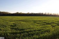 Land for sale in Frederick County, Maryland