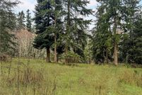 Undeveloped Land for sale in Jefferson County, Washington