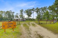 Timberland Property in Bamberg County, South Carolina
