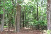Undeveloped Land for sale in Accomack County, Virginia
