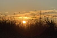 Land for sale in Bedford County, Virginia