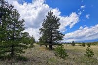 Undeveloped Land for sale in Custer County, Colorado