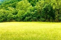 Land for sale in Hancock County, Tennessee