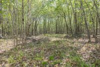 Land for sale in Hancock County, Maine