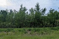 Land for sale in Arenac County, Michigan