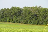 Undeveloped Land in Jefferson County, Illinois